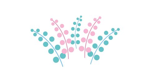 Minimalistic Plant Drawing in Motion