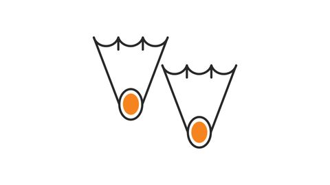 Swimming Fins Icon Animation on a Transparent Background.